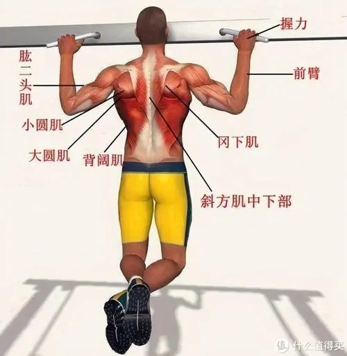 双反网球拍选择什么型号